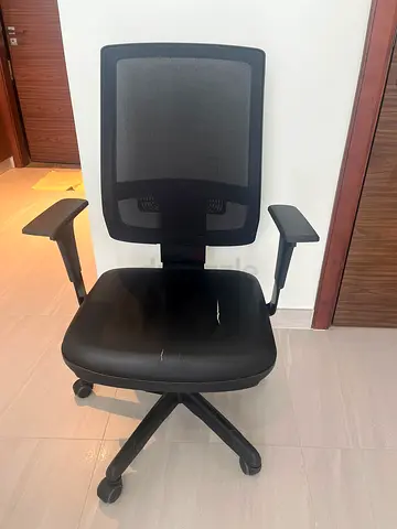 Ergonomic Office Chair