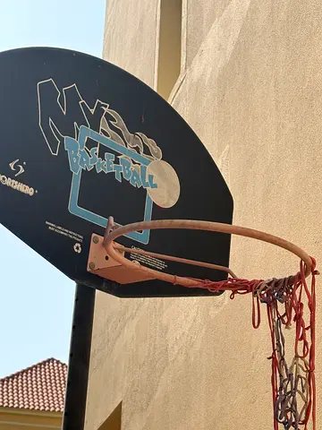 Outdoor Wall-Mounted Basketball Hoop with Backboard