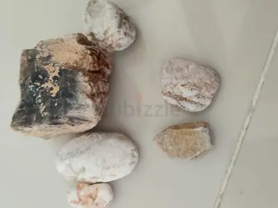 Agate and chalcedony bundle - 385g