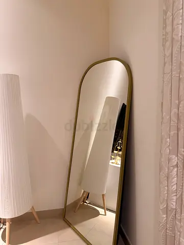 Tall Full-Length Curved Frame Mirror with Brass Finish