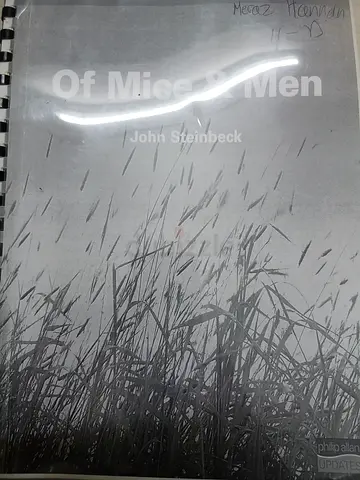 Of Mice and Men - John Steinbeck (Paperback) Guide and notes