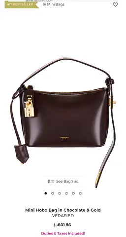 Mini Hobo Bag in Chocolate Leather with Gold Hardware