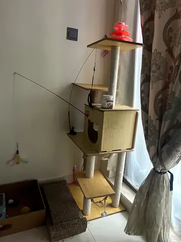 Used Multi-level Cat Tree with Scratching Posts and Toys