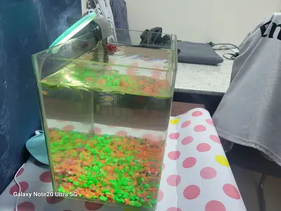 Small desktop fish tank with LED light and gravel