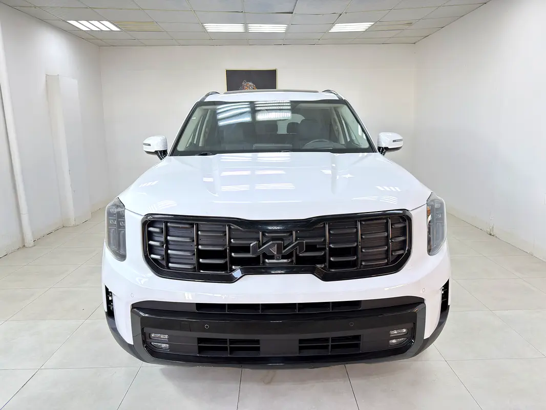 Kia Telluride 2021 — photo 1 of 10