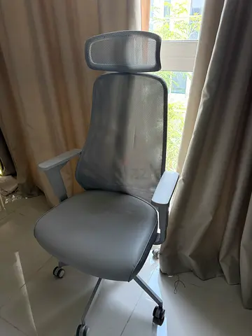 Ergonomic Mesh Office Chair with Headrest and Armrests