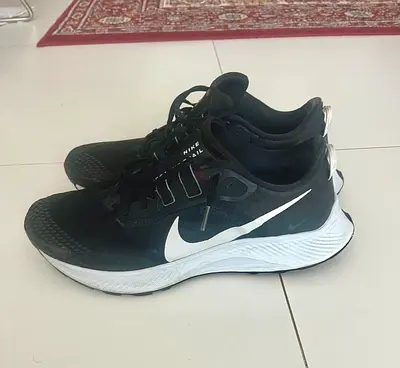 nike pegasus 11