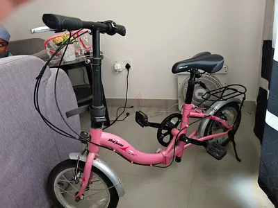 Lightweight Pink Folding Bicycle - Compact Commuter Bike