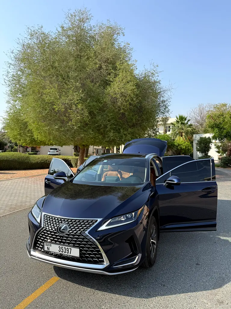 Lexus RX-Series 2022 — photo 1 of 14