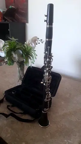 Student Clarinet with Case - Super good working condition
