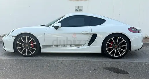 Porsche cayman s