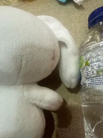 Original Sanrio Cinnamoroll
plush toy