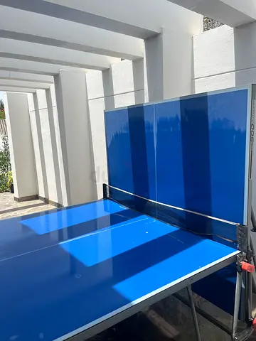 Table tennis / ping pong