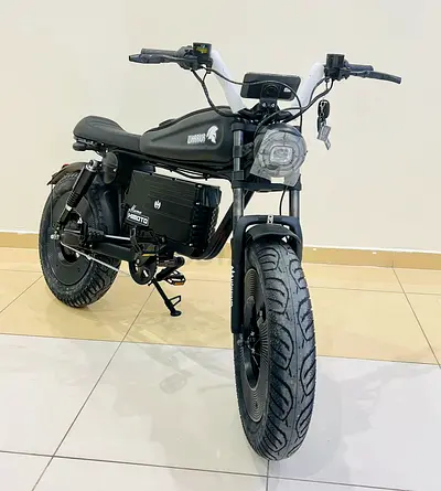 Electric Fat Tire Bike 1000W