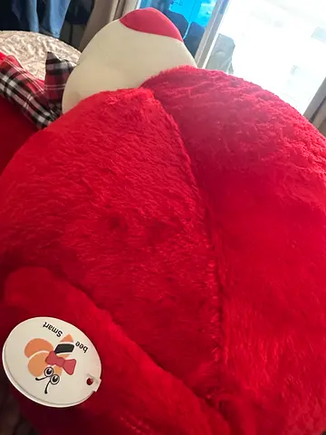 Large Red Plush Teddy Bear - Good Condition