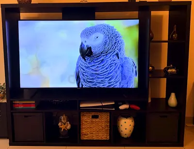 HISENSE “58” UHD SMART TV and IKEA TV CABINET FOR SALE AED 1000/- (Negotiable)