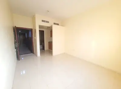 SPACIOUS STUDIO FLAT WITH SEPARATE KITCHEN