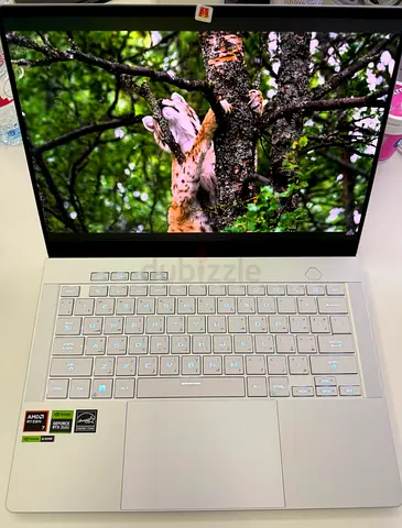 ROG Zephyrus G14 (2024) OLED RTX 4070 Ryzen 7 16GB RAM Warranty from Asus ME