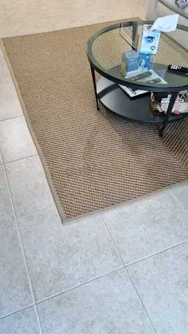 Beige/Brown Woven Area Rug - Good Condition, 4x6 (approx.)