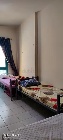 Ladies Bed Space For Rent At Rolla