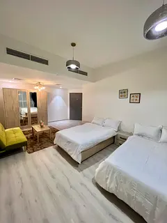 Luxury Big room on sheikh zayed road near Metro in LADIES apartment