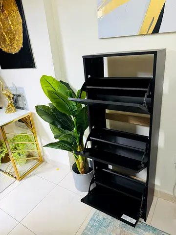 Ikea shoe cabinet