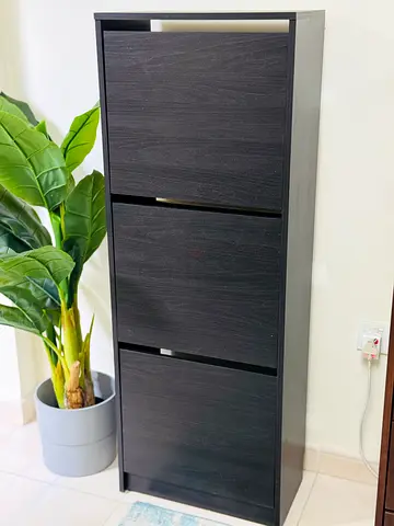 Ikea shoe cabinet