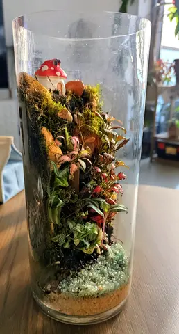 Vertical terrarium,(live plants)