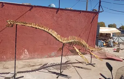 Dinosaurs skeleton (rare)