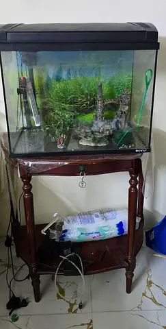 Urgent sale-Complete Boyu Aquarium/ fish tank with Filter, Heater,light,automatic feeder with stand.