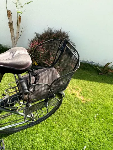 B Twin Bicycle with Child Seat
