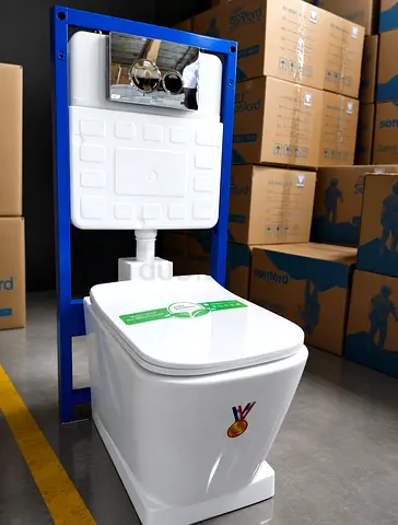 Wall-hung Concealed Cistern Toilet with Frame (New)