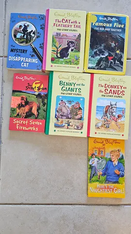 Enid Blyton Children’s Book