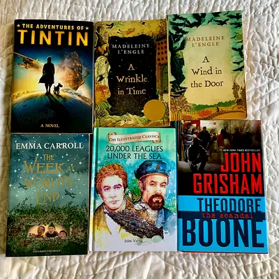 6 Books, TINTIN, Theodore Boone, 20,000 Leagues, A wind in the door.