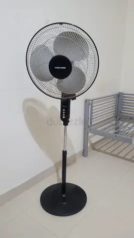 Fan
