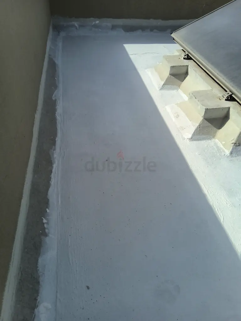 DPV_View_Image_4