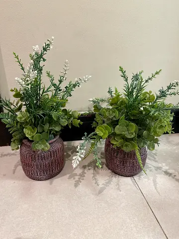 Set of 2 Decorative Artificial Potted Plants (Greenery in Woven Pots)