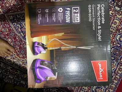 Steam iron
