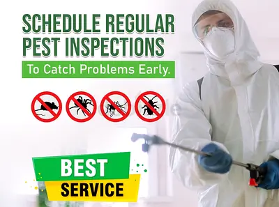A pest free home is happy home regular inspection are the key keeping your living space safe