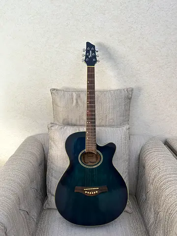 Tansen Guitar