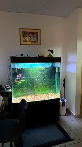 Aquarium and filter