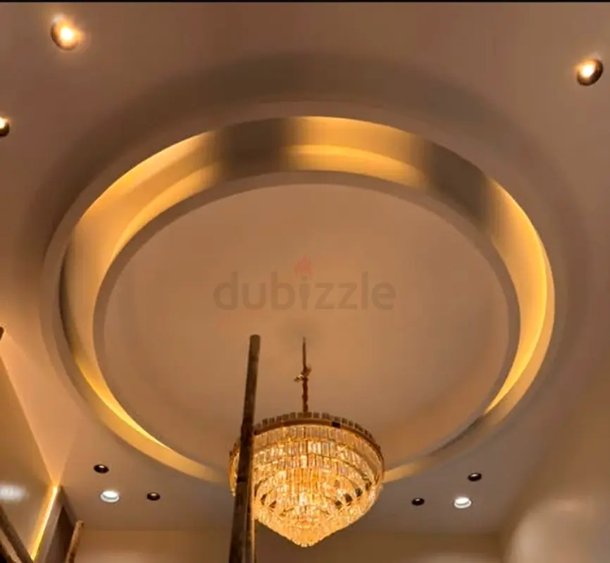 DPV_View_Image_0