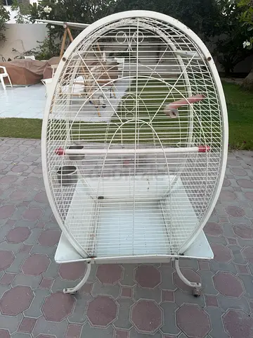 Cage for birds