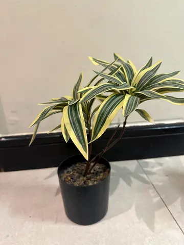 Small artificial Variegated Indoor Potted Plant