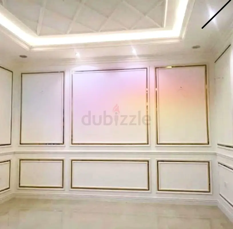 DPV_View_Image_3
