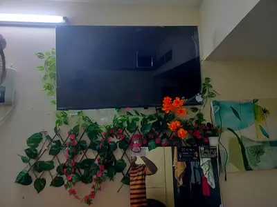 Samsung 43-inch LED TV - Good Working Condition, Wall Mounted