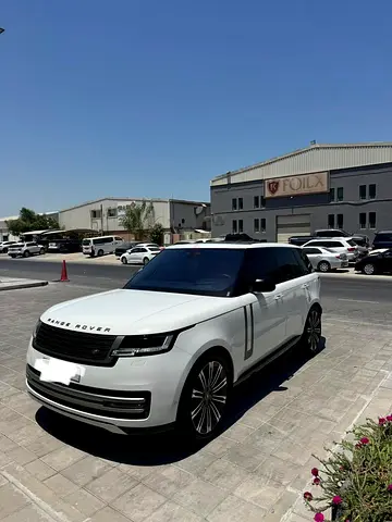 Fully serviced  Maintained at Al Tayer