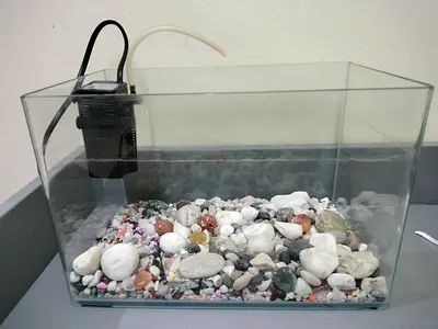 Aquarium 30cm + rocks+filter