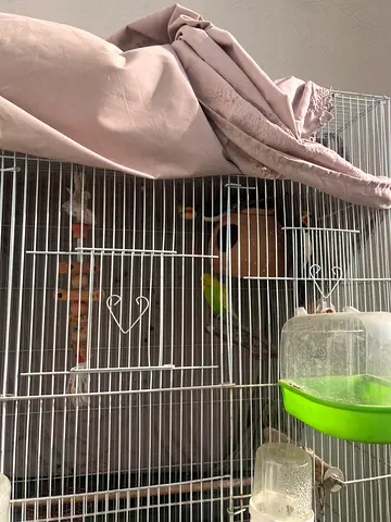 Large metal bird cage with accessories