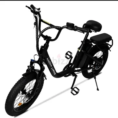 LUCKY LIANG U03 ELECTRIC E BIKE FOLDABLE BIKE BEST FOR DAILY WALKING AND GYM PARTNER BUY NOW